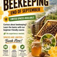 Beginner Beekeeping Course
